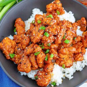 Chicken General Nasu